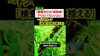 農水省「備蓄米のカビ毒検査は事業者に任すw」→ドンキ「検査…? 回答は控える」