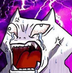 韓国警察、大統領の緊急逮捕を検討