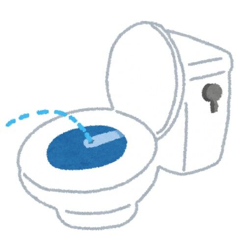 質問者「賃貸でウォシュレットが壊れたのですが…」回答者「お言葉ですがウォシュレットは商品名です、お間違いなきよう」←こういう奴