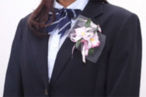 堺・私立中「保護者会退会で娘が疎外」父、賠償求め提訴　卒業式で生徒一人だけ胸花をもらえず