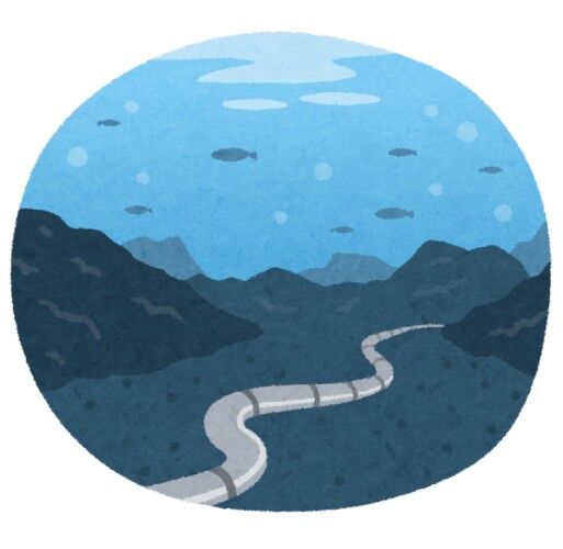 海底ケーブル切断の中国船、船舶識別装置を切って錨を160kmも引き摺っていた　これもう半分故意だろ