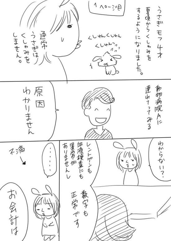 【画像】「動物病院の選び方は絶対に間違えてはいけないという話」の漫画が話題にwwwwwww