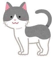 【動画】社会保険料の闇、猫ミームによって暴かれる・・・・・