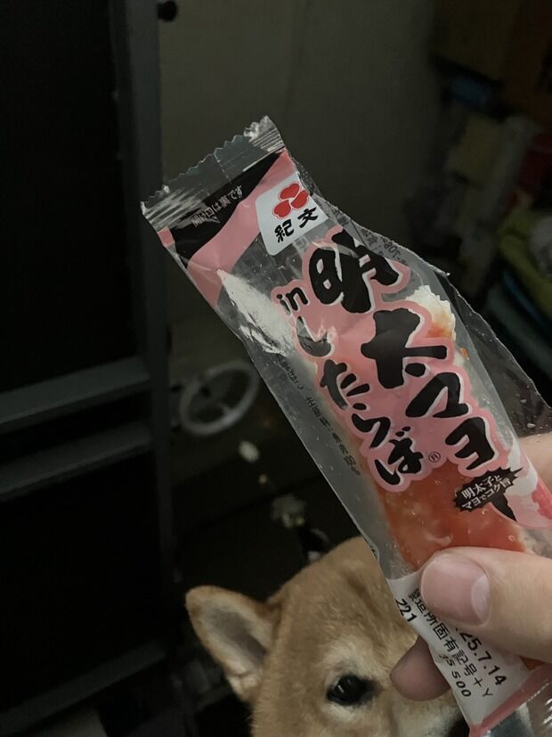 【画像】これ食べたことある？