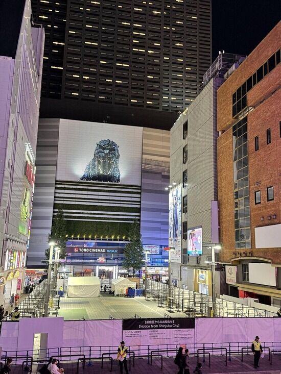 【画像】ハロウィンのトー横、完全に終わってるwwwwwww