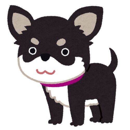 6階からチワワを投げ落とした女を逮捕