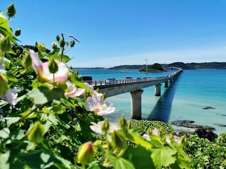 ワイ「沖縄戦…？日本がボコボコにされたんやろなぁ…」
