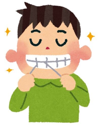 毎日フロスとか歯間ブラシしてない人って何考えてるの？