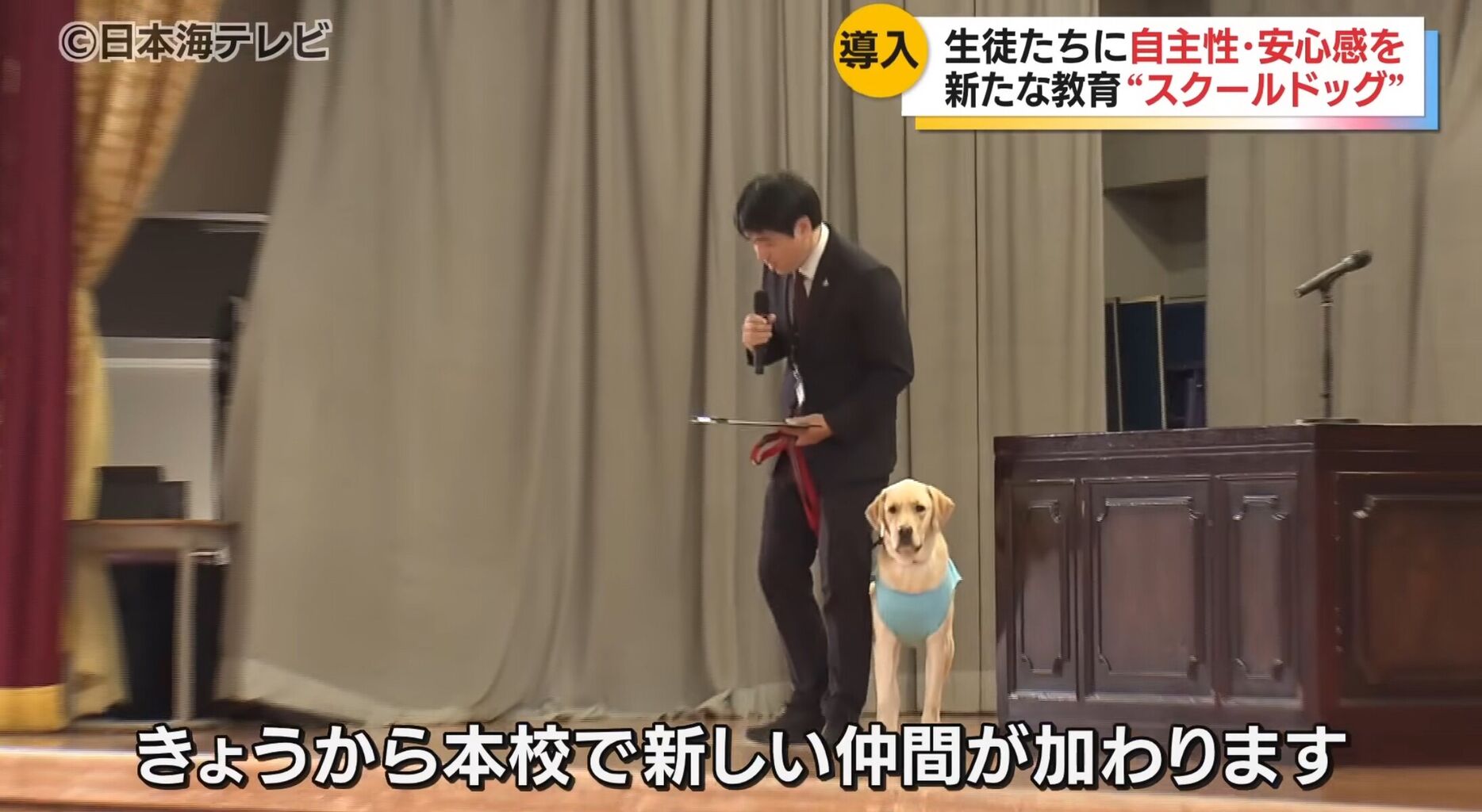 【画像】スクールドッグ