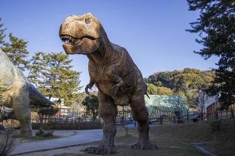 【画像】全身の63%が残る奇跡のティラノサウルス「ガス」、81億円で買われてしまう…科学者が恐れる“最悪のシナリオ”がこちらｗｗｗｗｗｗ