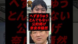 へずまりゅう、とんでもない公約掲げ奈良市騒然w