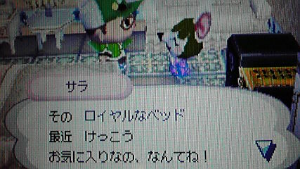 サラのフリーマーケット おいでよどうぶつの森 今さら日記
