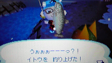 おいでよどうぶつの森 今さら日記 釣りについて