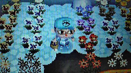 1日のはじまりは 花の水やりから おいでよどうぶつの森 今さら日記