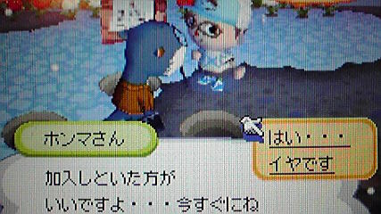 とうとうホンマさんの保険に入ってしまいました おいでよどうぶつの森 今さら日記