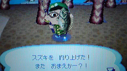 おいでよどうぶつの森 今さら日記 釣りについて