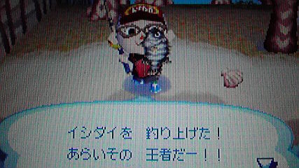 イシダイを釣り上げました おいでよどうぶつの森 今さら日記
