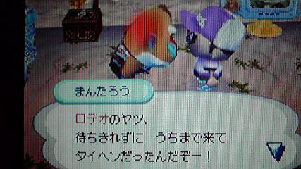 またまた まんたろうとの約束を破りました おいでよどうぶつの森 今さら日記