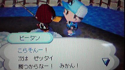 勝たない方が良い釣勝負 おいでよどうぶつの森 今さら日記