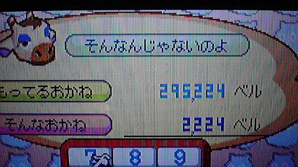 グレースのファッションチェックを受ける おいでよどうぶつの森 今さら日記 グレースのファッションチェックを受ける おいでよどうぶつの森 今さら日記