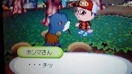 ホンマさんを穴で閉じ込める おいでよどうぶつの森 今さら日記
