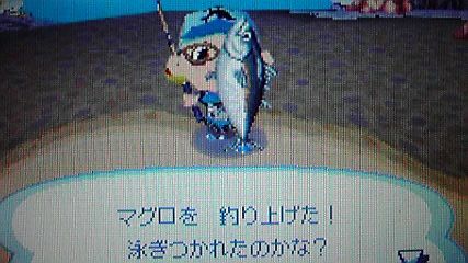 勝たない方が良い釣勝負 おいでよどうぶつの森 今さら日記