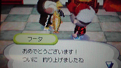おいでよどうぶつの森 今さら日記 釣りについて