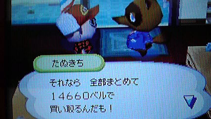 おいでよどうぶつの森 今さら日記 釣りについて