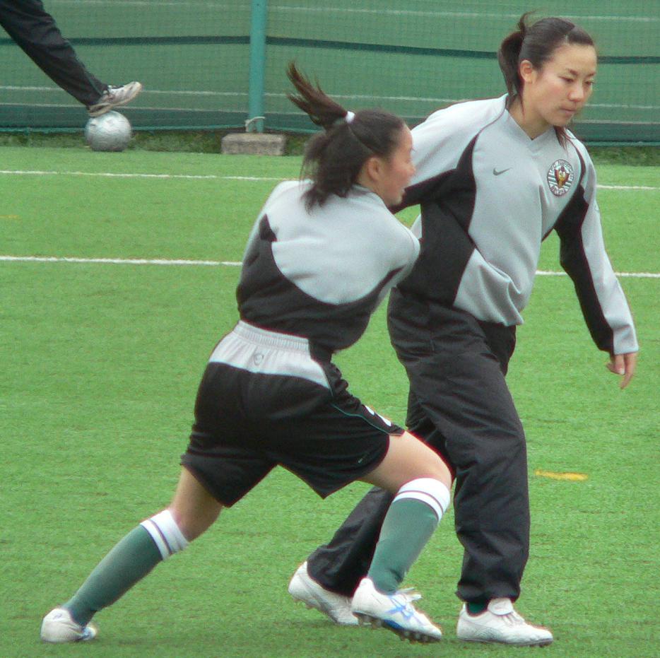 ファンタジスタが好き 日テレ メニーナ