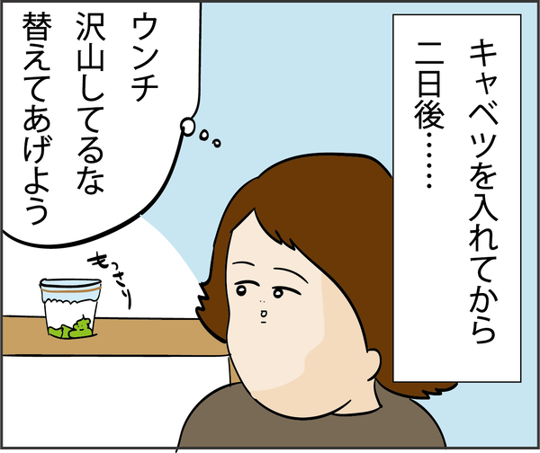 2020061316