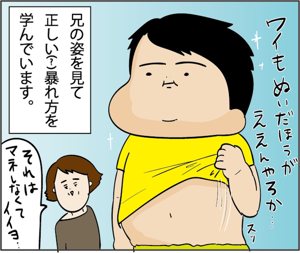 201905293