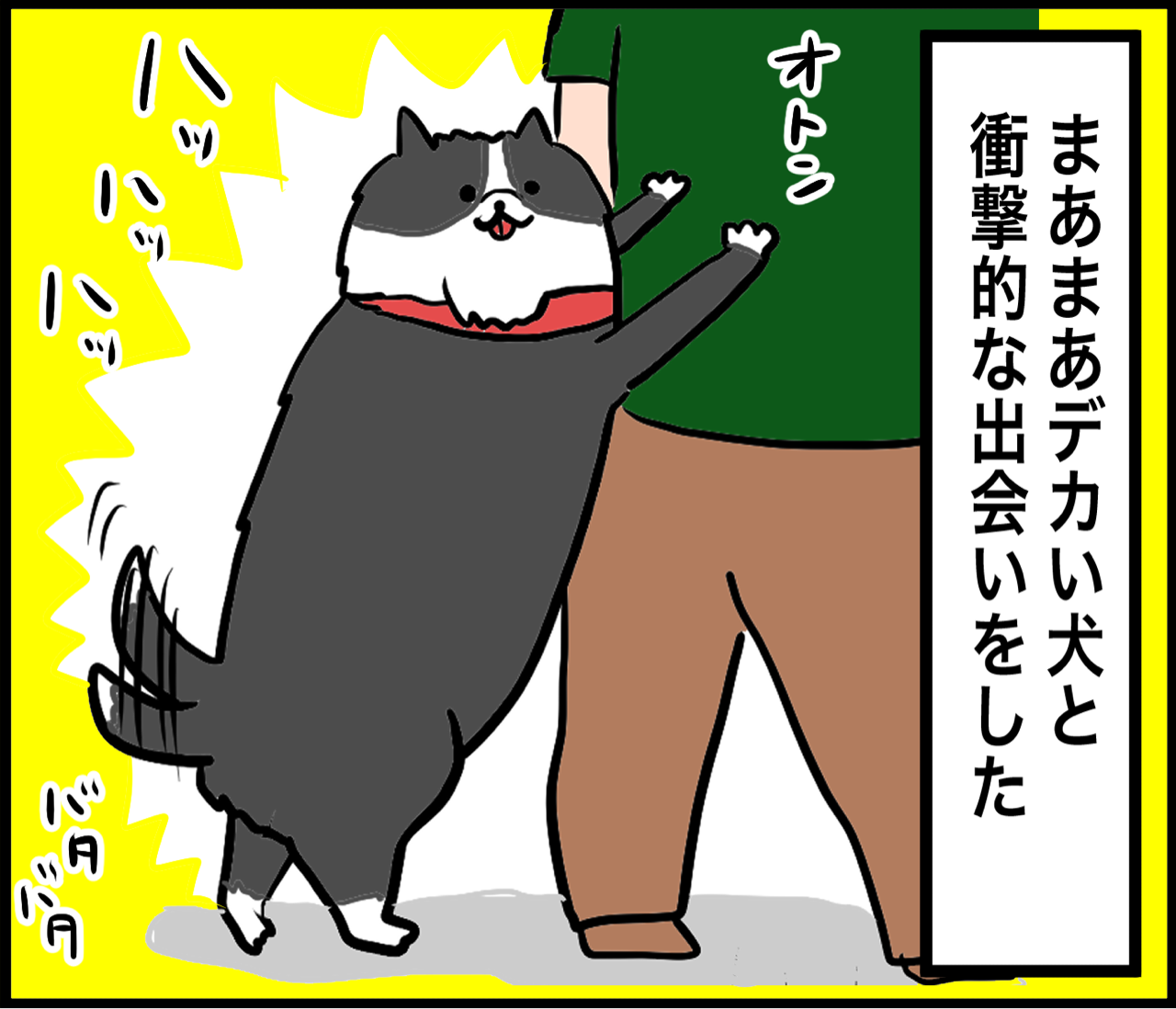 ひと夏の衝撃的な出会い だいごろうの1日 Powered By ライブドアブログ ひと夏の衝撃的な出会い だいごろうの1日 Powered By ライブドアブログ