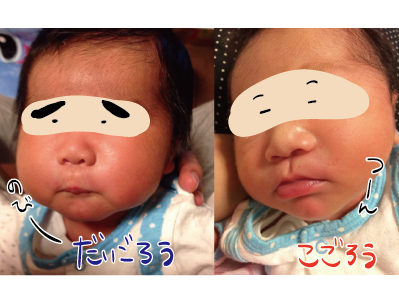 だいごろうの1日　おっぱい拒否顔兄弟比較