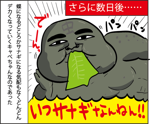 202006137