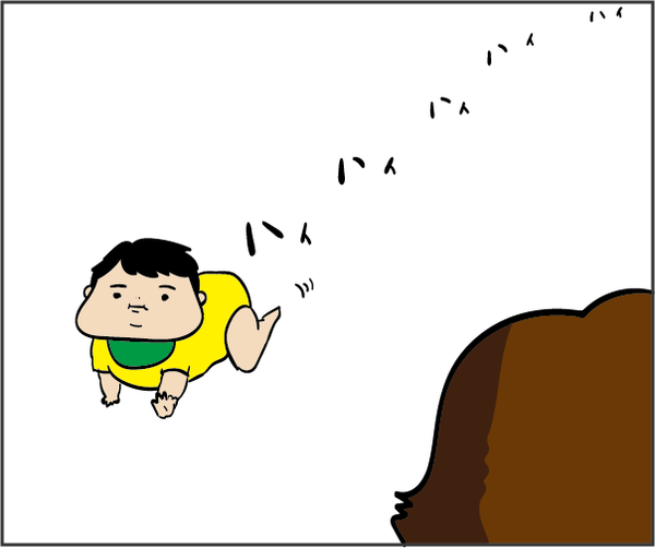 201808233