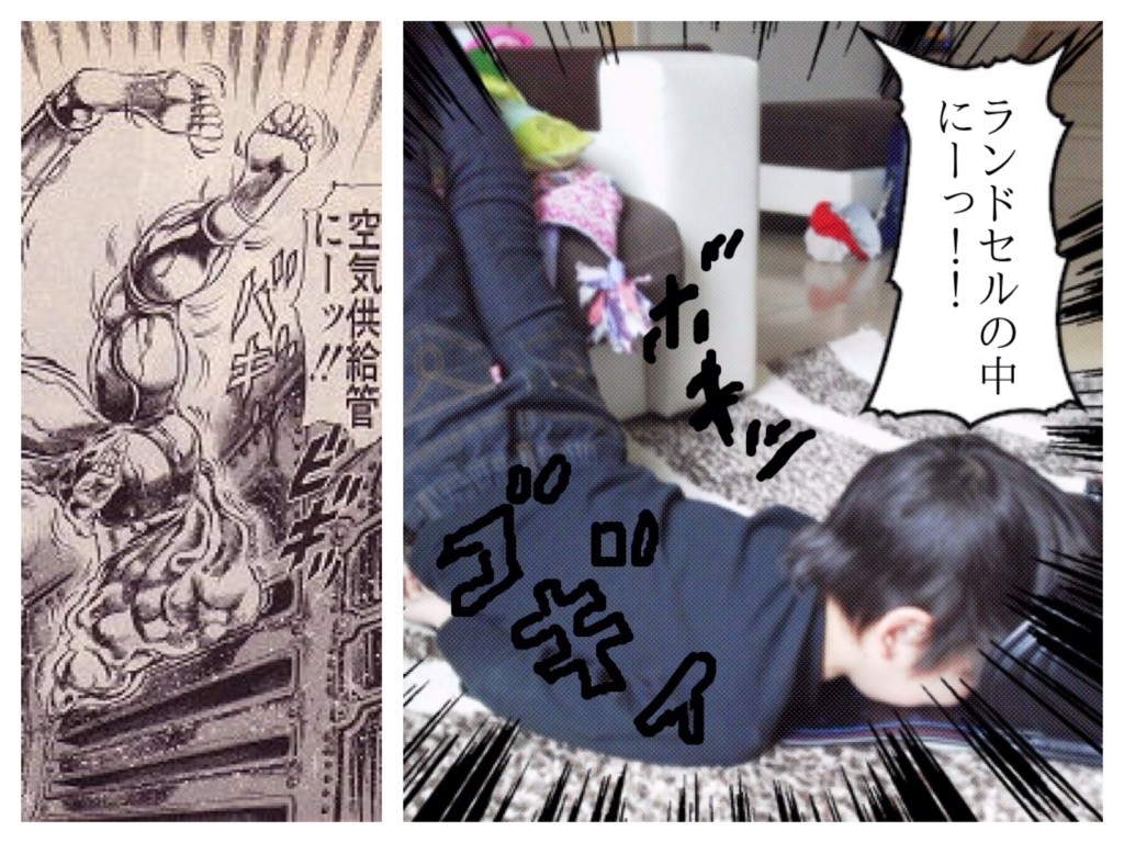 ジョジョ立ち 珍獣兄弟観察日誌