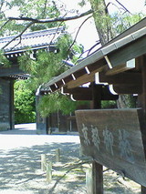 20c16b00.jpg