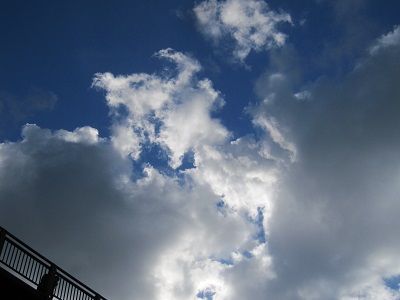 IMG_1931