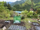 ｗ付知の菜園から