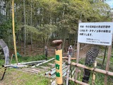 景竹林入口