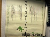 おかえりスローライフ