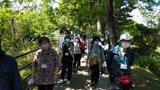 竹林ウォーキングIMG_20210502_094245