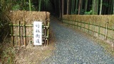 竹林街道看板IMG_20210429_081541