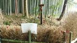 IMG_20210325_105050