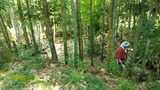 森林公園整備IMG_20210711_125900