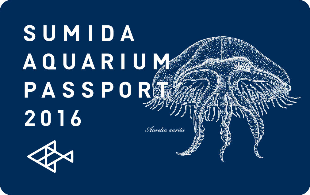関東の水族館年間パスポート料金 特典まとめ 陸 おか Fish Watching 関東の水族館年間パスポート料金 特典まとめ 陸 おか Fish Watching