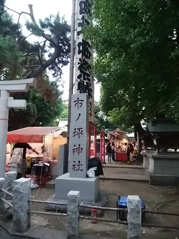 z99