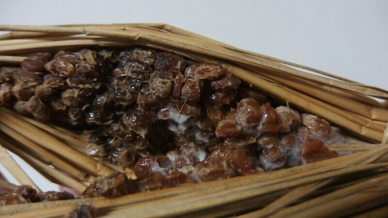 ワラに入った納豆がカビた 16年11月 にょにょ すいーつ