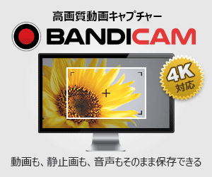 Bandicam[バンディカム]