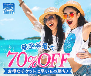skyticket(スカイチケット)